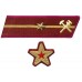 БРИГАДНЫЙ КОМИССАР, БРИГВРАЧ, БРИГВЕТВРАЧ, БРИГВОЕНЮРИСТ войск НКВД, петлицы и нарукавные знаки обр. 1935/36 г..